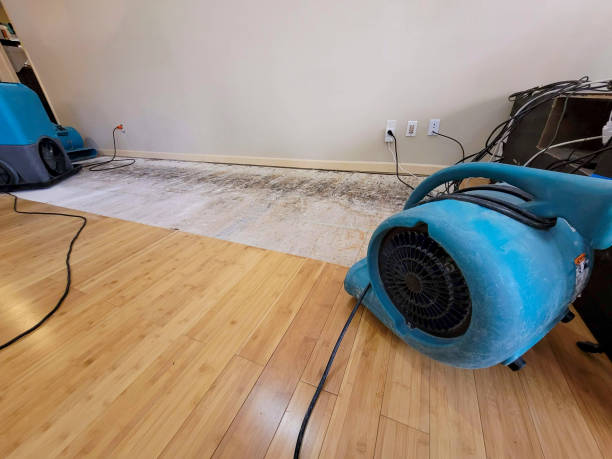 Professional Flood Damage Cleanup technician working in Altamont, KS